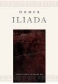 okładka książki - Iliada. Seria: Źródła i monografie