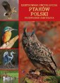 okładka książki - Ilustrowana encyklopedia ptaków