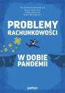 okładka książki - Problemy rachunkowości w dobie