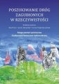 okładka książki - Poszukiwanie dróg zagubionych w