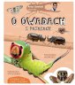 okładka książki - Artur Sawicki opowiada o owadach