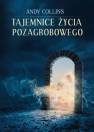 okładka książki - Tajemnice życia pozagrobowego