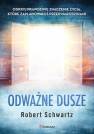 okładka książki - Odważne dusze