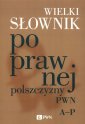 okładka książki - Wielki słownik poprawnej polszczyzny