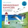 okładka książki - Bajka uspokajanka. Drogocenny kamyczek