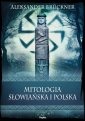 okładka książki - Mitologia słowiańska i polska