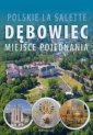 okładka książki - Polskie La Salette. Dębowiec. Miejsce