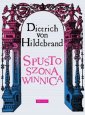 okładka książki - Spustoszona winnica