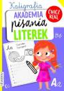 okładka książki - Akademia pisania literek. Kaligrafia