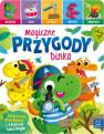 okładka książki - Magiczne przygody Dinka. Klaszcz,