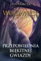 okładka książki - Przepowiednia Błękitnej Gwiazdy