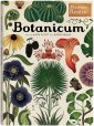 okładka książki - Botanicum. Muzeum Roślin