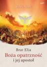 okładka książki - Brat Elia. Boża opatrzność i jej