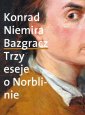 okładka książki - Bazgracz. Trzy eseje o Norblinie