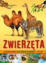 okładka książki - Encyklopedia dla dzieci w wieku