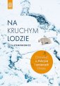 okładka książki - Na kruchym lodzie. Opowieść o Arktyce