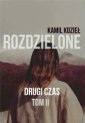 okładka książki - Rozdzielone. Tom 2. Drugi czas