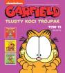 okładka książki - Garfield. Tłusty koci trójpak.