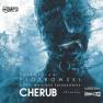 pudełko audiobooku - Cherub (CD mp3)