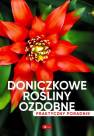 okładka książki - Doniczkowe rośliny ozdobne. Poradnik