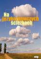 okładka książki - Na językoznawczych ścieżkach