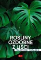 okładka książki - Rośliny ozdobne z liści. Poradnik