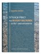 okładka książki - Sytuacja pracy na własny rachunek: