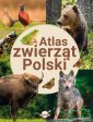 okładka książki - Atlas zwierząt Polski