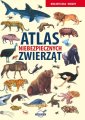 okładka książki - Biblioteczka Wiedzy. Atlas niebezpiecznych