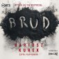 pudełko audiobooku - Brud