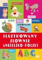 okładka podręcznika - Ilustrowany słownik angielsko-polski