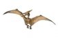 zdjęcie zabawki, gry - Pteranodon