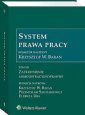 okładka książki - System Prawa Pracy Tom XII Zatrudnienie