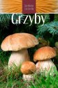 okładka książki - Grzyby. Spotkania z przyrodą