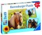 zdjęcie zabawki, gry - Puzzle 3x49 Konie