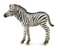 zdjęcie zabawki, gry - Zebra Foal