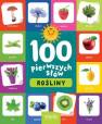 okładka książki - Rośliny. 100 pierwszych słów