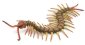 zdjęcie zabawki, gry - Centipede