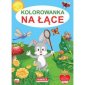 okładka książki - Kolorowanka Na łące