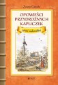 okładka książki - Opowieści przydrożnych kapliczek