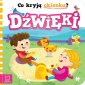 okładka książki - Co kryją okienka? Dźwięki