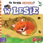 okładka książki - Co kryją okienka? W lesie