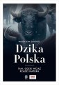 okładka książki - Dzika Polska. Tam, gdzie wciąż