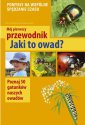 okładka książki - Jaki to owad?