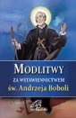 okładka książki - Modlitwy za wstawiennictwem św.