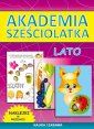 okładka książki - Akademia sześciolatka. Lato. Naklejki