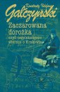 okładka książki - Zaczarowana dorożka czyli najpiękniejsze