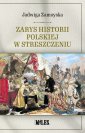 okładka książki - Zarys historii polskiej w streszczeniu