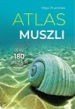 okładka książki - Atlas muszli. Opisy 180 gatunków