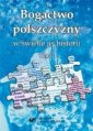 okładka książki - Bogactwo polszczyzny w świetle